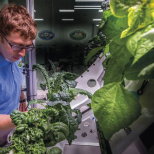 Cultivando plantas no espaço O astronauta Scott Kelly cuidou de zínias espaciais moribundas na Estação Espacial Internacional