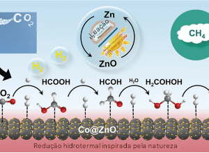 Transformando CO2 em combustível usando água quente Redução hidrotermal inspirada pela natureza