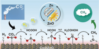 Redução hidrotermal inspirada pela natureza