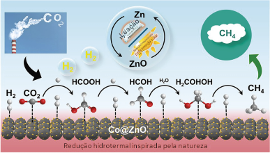 Transformando CO2 em combustível usando água quente 6 Redução hidrotermal inspirada pela natureza