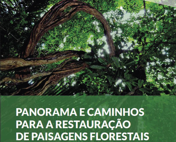 Restaura o SEM LEGENDA 1