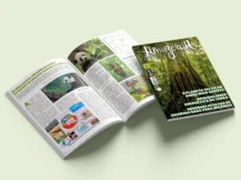 Revista Amazônia 142 Junho 2025