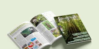 Revista Amazônia 142 Junho 2025