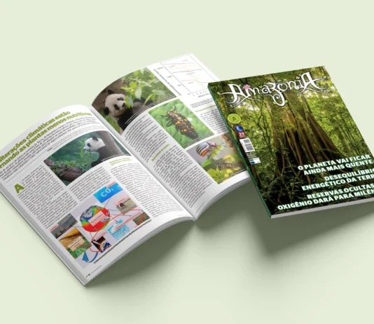 Revista Amazônia 142 Junho 2025