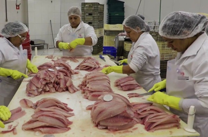 Screenshot-2025-05-29-190021 Abertura de dez novos mercados para a exportação agropecuária brasileira