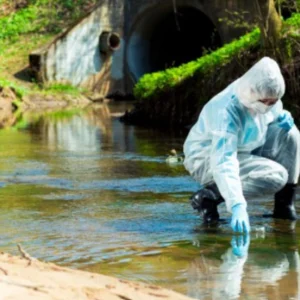 Microalga brasileira se destaca na remoção de antibióticos da água e pode ajudar o meio ambiente cientistas