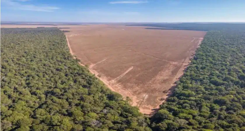 Screenshot 2025 06 09 114059