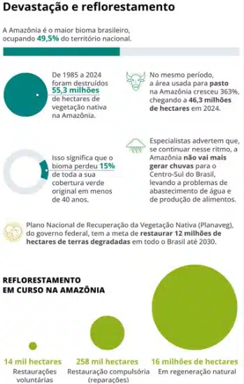 Screenshot-2025-06-09-122226 Brasil acelera restauração florestal com foco na Amazônia e Cerrado às vésperas da COP30