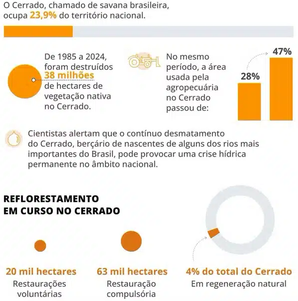 Screenshot-2025-06-09-122358 Brasil acelera restauração florestal com foco na Amazônia e Cerrado às vésperas da COP30