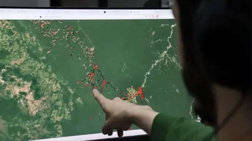Screenshot-2025-06-10-180348 Universidade de Oxford abre vaga de pós-doutorado para estudar resiliência das florestas tropicais e saúde na Amazônia