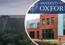 Universidade de Oxford abre vaga de pós-doutorado para estudar resiliência das florestas tropicais e saúde na Amazônia Oxford