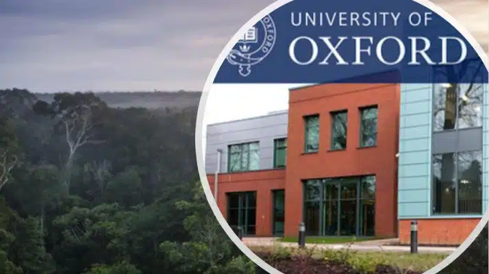 Universidade de Oxford abre vaga de pós-doutorado para estudar resiliência das florestas tropicais e saúde na Amazônia 3 Oxford