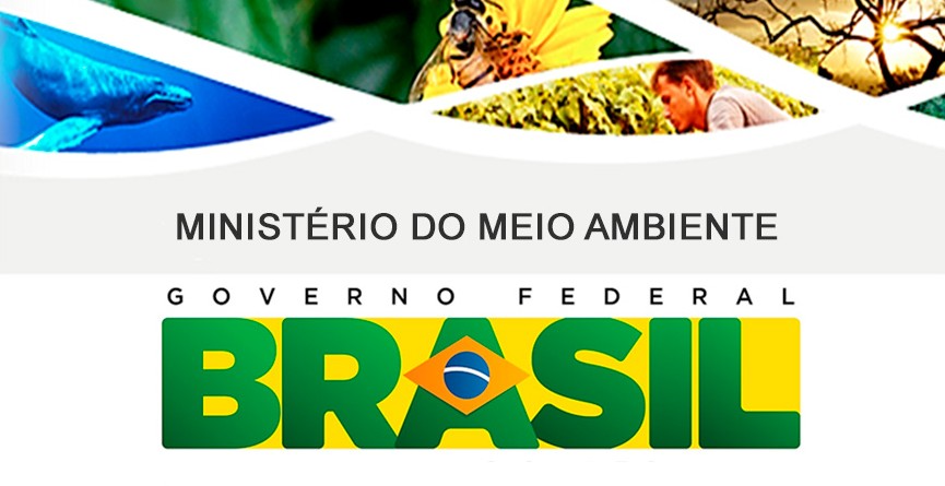 Screenshot-2025-06-10-192107 MMA abre consulta pública para regulamentar a Política Nacional de Pagamento por Serviços Ambientais