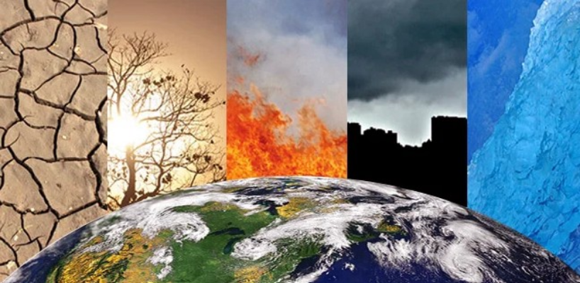 Screenshot-2025-06-11-191106 Doença de Chagas na Amazônia: mudanças climáticas podem ampliar área de risco