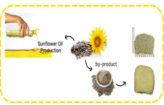 Screenshot-2025-06-12-192150 Farinha de semente de girassol transforma pão comum em aliado da saúde e da sustentabilidade