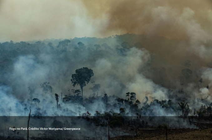 Screenshot-2025-06-13-103044 Tecnologia brasileira de monitoramento promete revolução no combate a queimadas