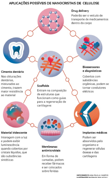 Screenshot-2025-06-13-172708 Brasil aposta na nanocelulose para inovar em materiais sustentáveis