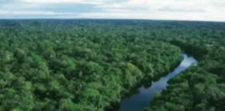 Amazônia