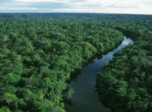 Amazônia