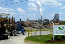 Madeira, lucro e fogo, a polêmica sobre novas usinas em áreas ameaçadas por queimadas usinas