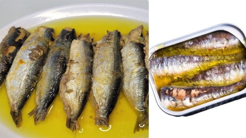 Screenshot-2025-06-16-170915 Sardinha supera o leite em cálcio e emerge como aliada poderosa na saúde óssea