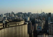 Prédios com vidraças nas cidades ameaçam aves, aponta pesquisa aves