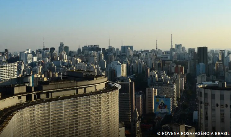 Prédios com vidraças nas cidades ameaçam aves, aponta pesquisa 3 aves