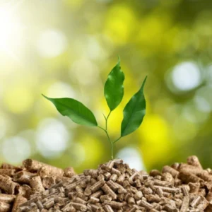 Biomassa pode se tornar a próxima grande força na transição energética brasileira Brasil