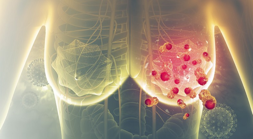 Screenshot-2025-06-17-121208 Veneno de escorpião da Amazônia mostra potencial para tratar câncer de mama