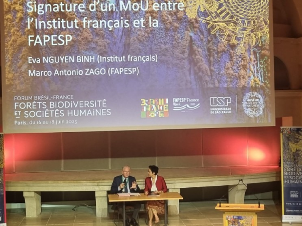 Ciência é o caminho para salvar florestas e conter o aquecimento global 3 aumento