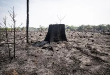 Impasse em Bonn, a justiça climática mantida refém pelos países ricos Bonn