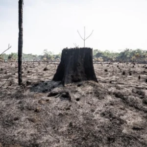 Impasse em Bonn, a justiça climática mantida refém pelos países ricos Bonn