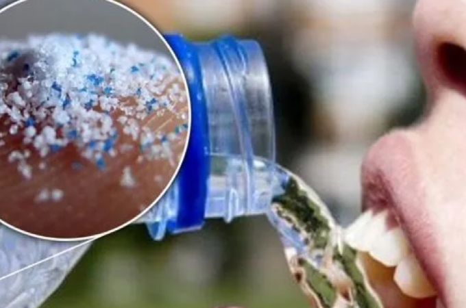 Screenshot-2025-06-19-124502 Passa o cartão, estudo revela que humanos ingerem o equivalente a um cartão de crédito por semana