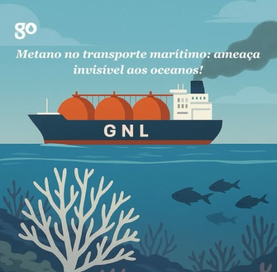 Screenshot-2025-06-19-133029 O falso herói da transição: Por que o gnl não é o futuro energético do Brasil?