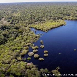 Fundo Amazônia bate recorde ao destinar mais de R$ 1 bilhão em 2025 Amazônia