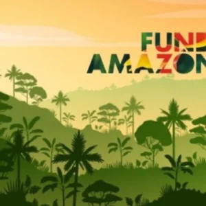 Fundo Amazônia bate recorde histórico com mais de R$ 1 bilhão em projetos aprovados no primeiro semestre de 2025 investimentos