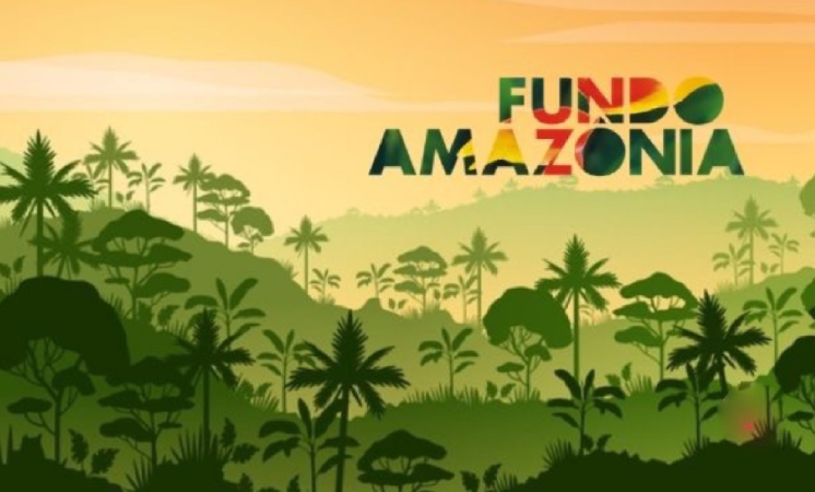 Fundo Amazônia bate recorde histórico com mais de R$ 1 bilhão em projetos aprovados no primeiro semestre de 2025 3 investimentos