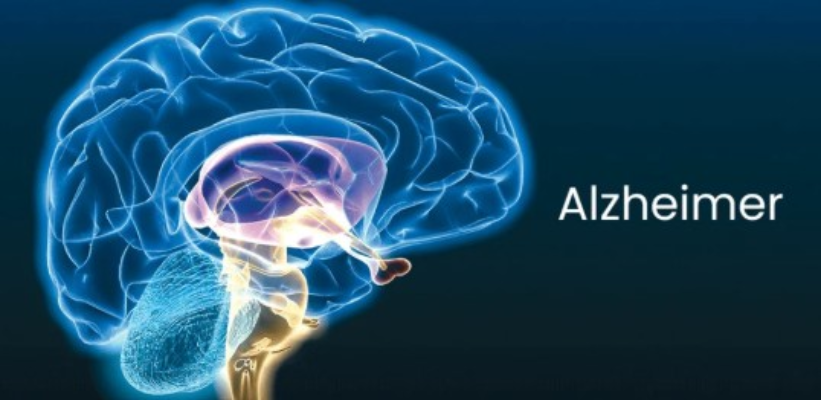 Screenshot-2025-06-20-140753 Novo Estudo Aponta Relação Entre Consumo de Ovos e Redução do Risco de Demência de Alzheimer