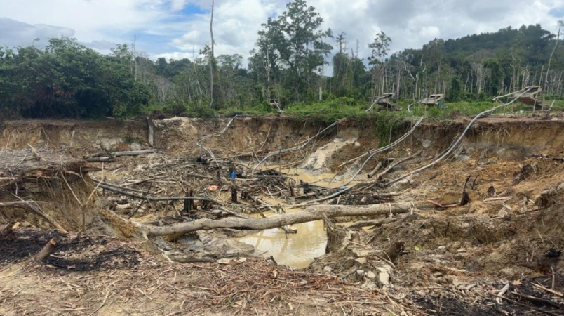 Screenshot-2025-06-21-115433 Tráfico humano avança nas fronteiras da Amazônia impulsionado por garimpos ilegais