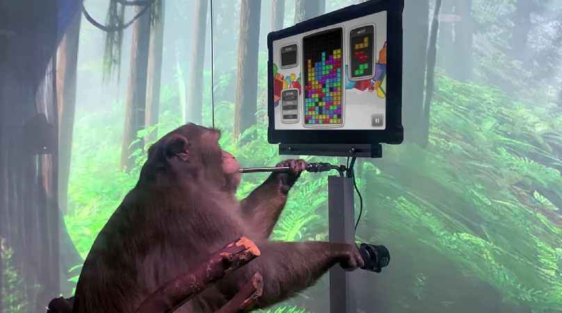 Screenshot-2025-06-23-102759 Elon Musk pretende restaurar a visão de pessoa cega com chip cerebral ainda este ano