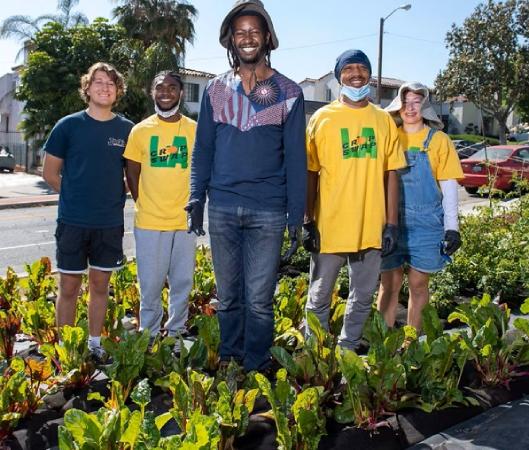 Screenshot-2025-06-23-114134 Hortas comunitárias estão redesenhando o futuro de Los Angeles