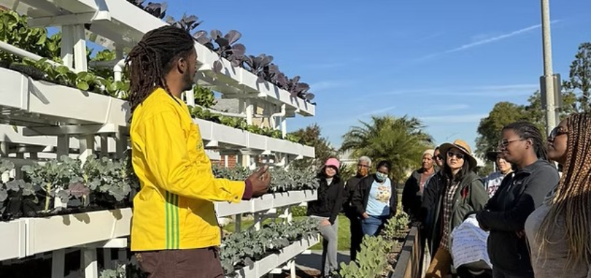 Screenshot-2025-06-23-114651 Hortas comunitárias estão redesenhando o futuro de Los Angeles