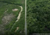 Construção de estradas impacta mangue amazônico rodovia