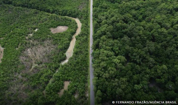 Construção de estradas impacta mangue amazônico 5 rodovia