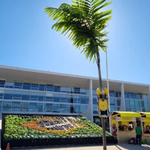 Com DNA paraense, Açaibot vira destaque em Brasília durante lançamento do Plano Safra da Agricultura Familiar açaibot