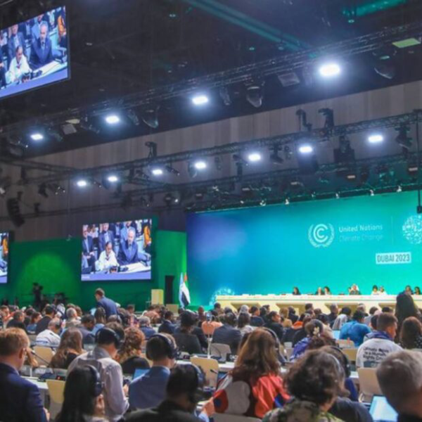cop30-1-620x620-1 Começa conferência de Bonn que abre negociações para COP30