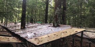 Área de estudo de floresta tropical no nordeste do Brasil, mostrando fileiras de painéis transparentes para redirecionar a água para longe das árvores.