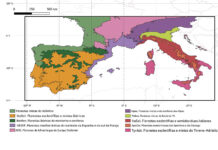 Secas e ondas de calor reduzem a capacidade das plantas de absorver CO₂ Área de estudo e regiões biogeográficas deste estudo. Crédito: Ciclos Biogeoquímicos Globais (2025). DOI: 10.1029/202