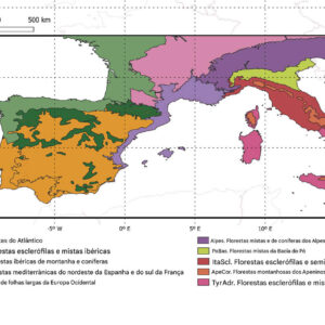 Área de estudo e regiões biogeográficas deste estudo. Crédito: Ciclos Biogeoquímicos Globais (2025). DOI: 10.1029/202