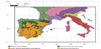 Área de estudo e regiões biogeográficas deste estudo. Crédito: Ciclos Biogeoquímicos Globais (2025). DOI: 10.1029/202